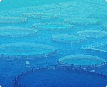 Aquaculture image